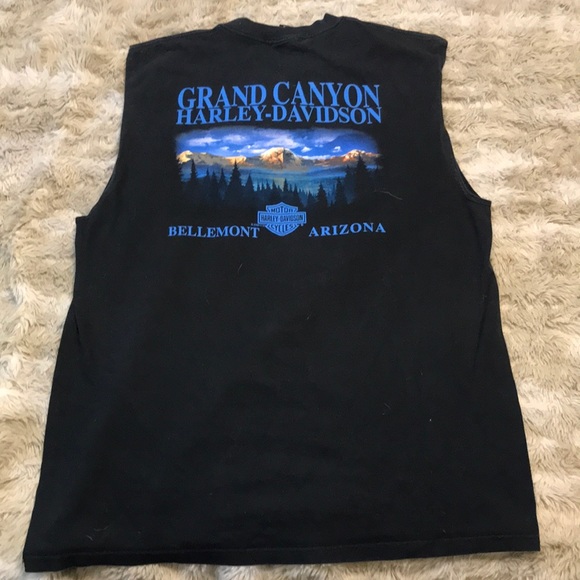 🧡VTG HARLEY GRAND CANYON 🖤 - Picture 4 of 7